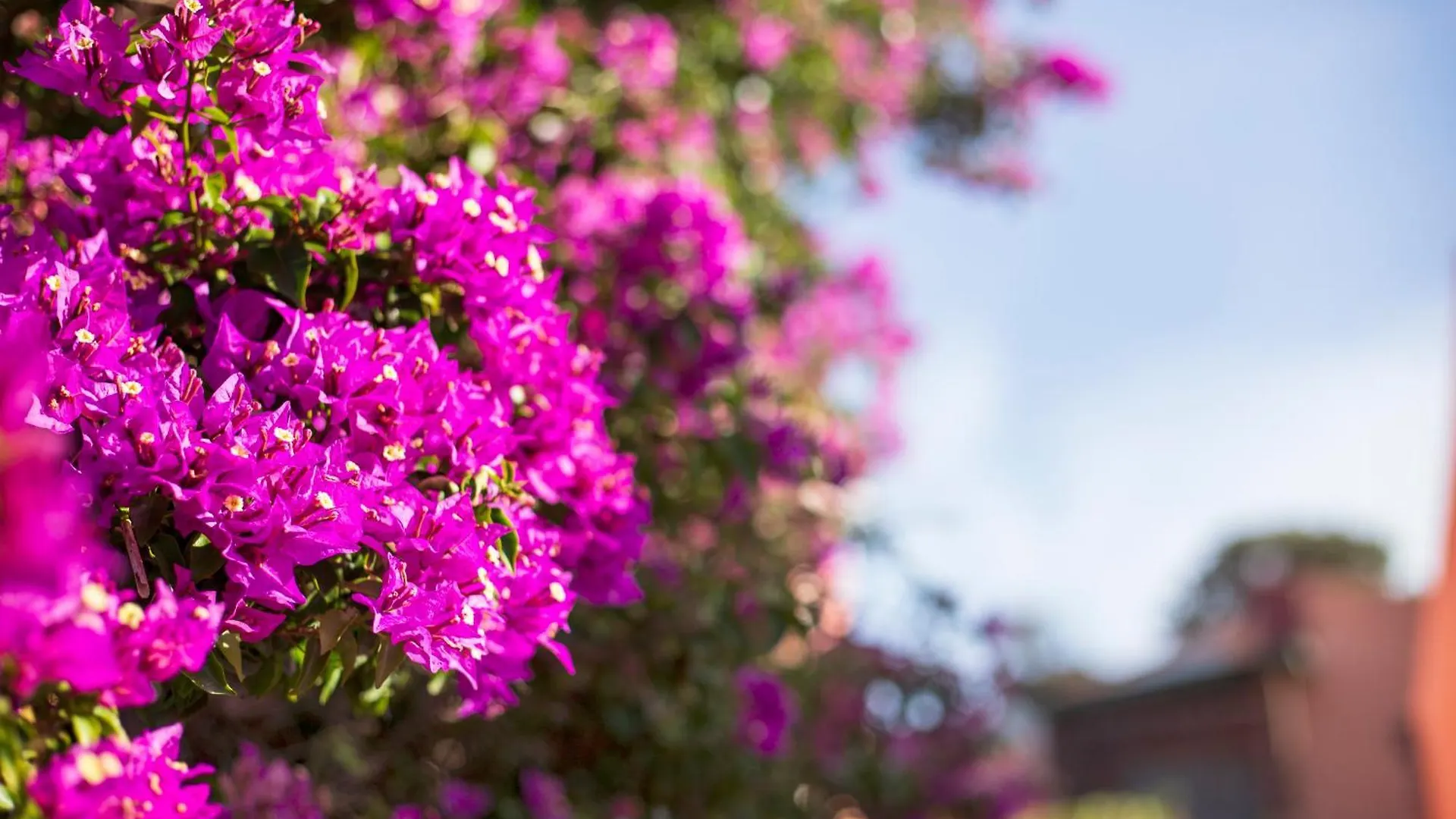 Nocleg ze śniadaniem Le Maschere B&B Santa Teresa Gallura